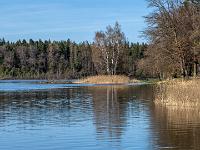 Abwechslungsreiches Ufer im Bereich des Badeplatzes